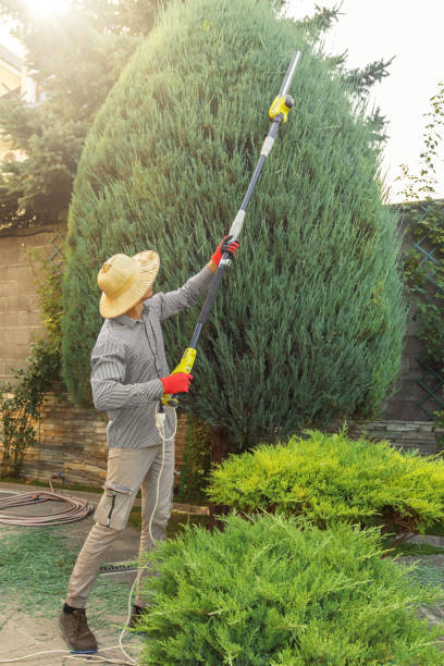 Lawn Watering Services in Wading River, NY